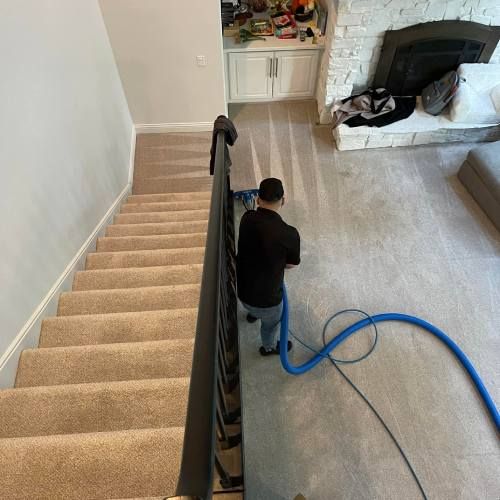 Top Rated Carpet Cleaning Lebanon Or 2