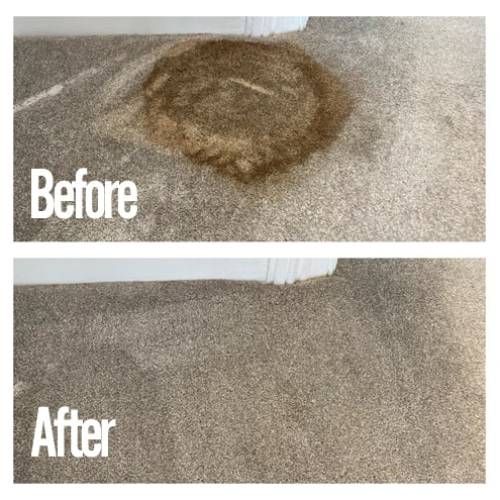 Stain Removal Cleaning Woodburn Or Result 2