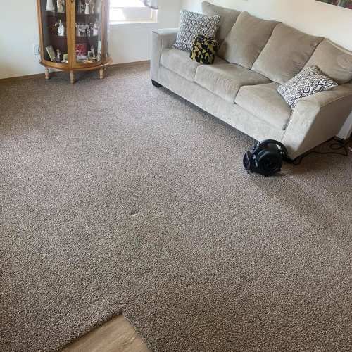 Upholstery Cleaning Molalla Or Result 5