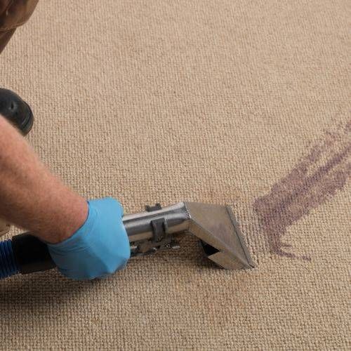 Reliable Stain Removal Cleaning Salem Or
