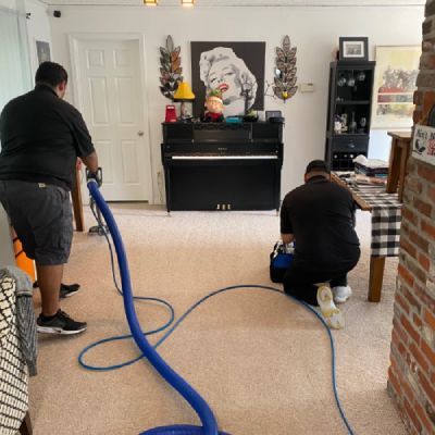 Carpet Cleaning Salem Or Results 3
