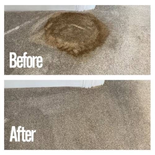 Stain Removal Cleaning Sublimity Or Result 2