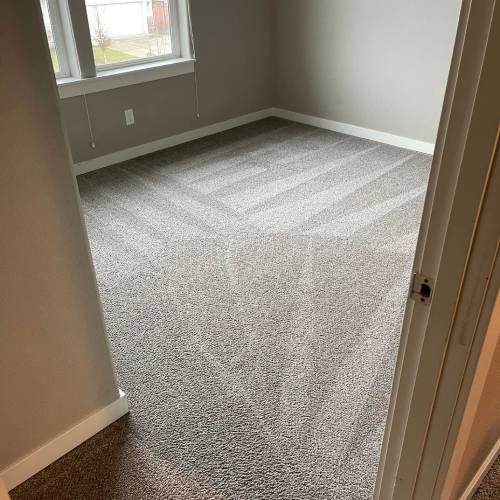 Reliable Carpet Cleaning Albany Or