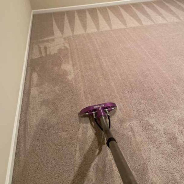 Carpet Cleaning Salem Or Result 3