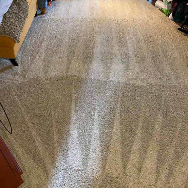 Carpet Cleaning Salem Or Result 1