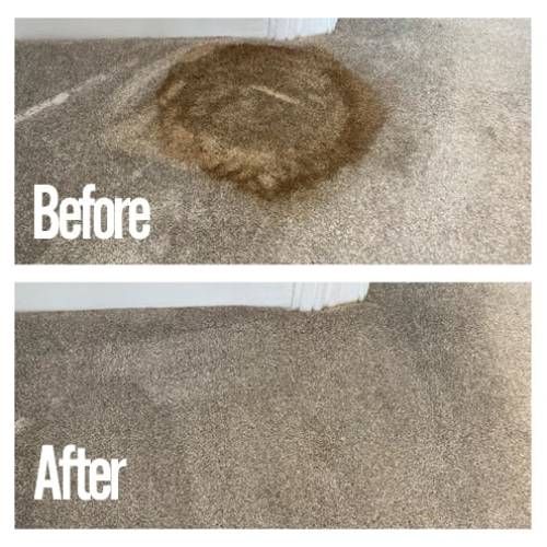 Stain Removal Cleaning Dallas Or Result 2