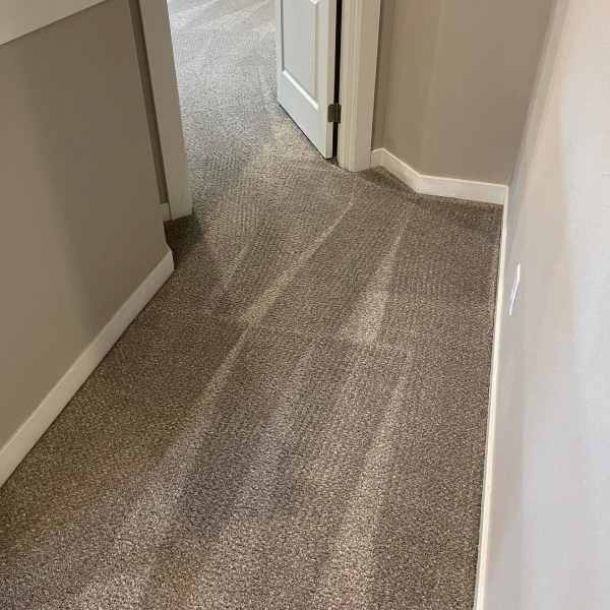 Carpet Cleaning Salem Or Result 4