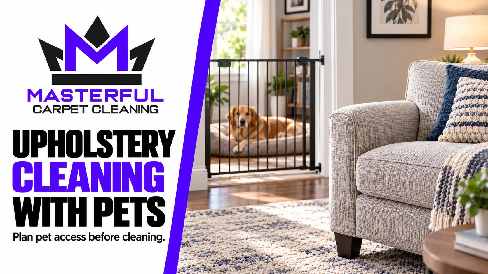 Upholstery cleaning with pets: a chair in the work area and a dog resting beyond a closed gate.