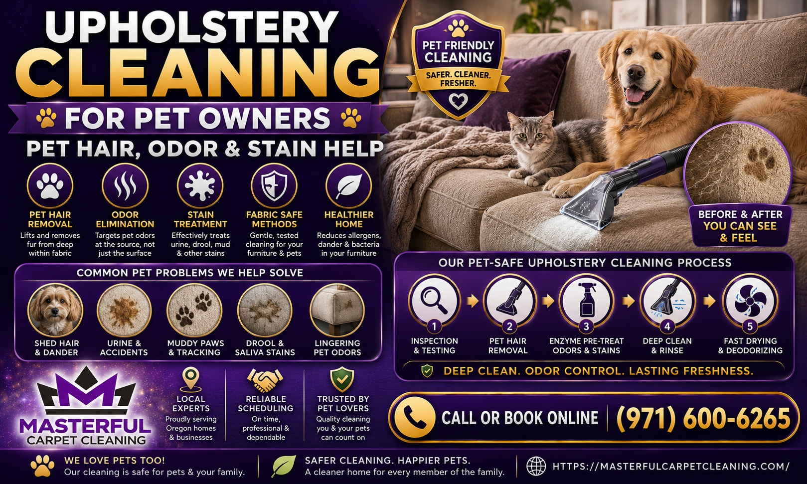 Upholstery Cleaning for Pet Owners Pet Hair, Odor and Stain Help