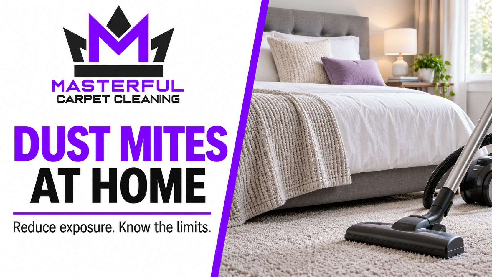 Masterful Carpet Cleaning dust mites at home cover with a bedroom and vacuum; reduce exposure and know the limits